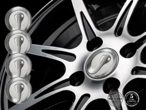 Adesivo Silicone Alta Qualità Cupola Racing Edizione